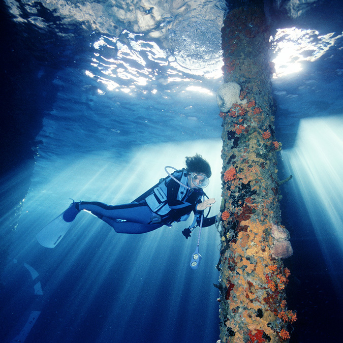 Rolex Partnerships Sylvia Earle s mission of hope