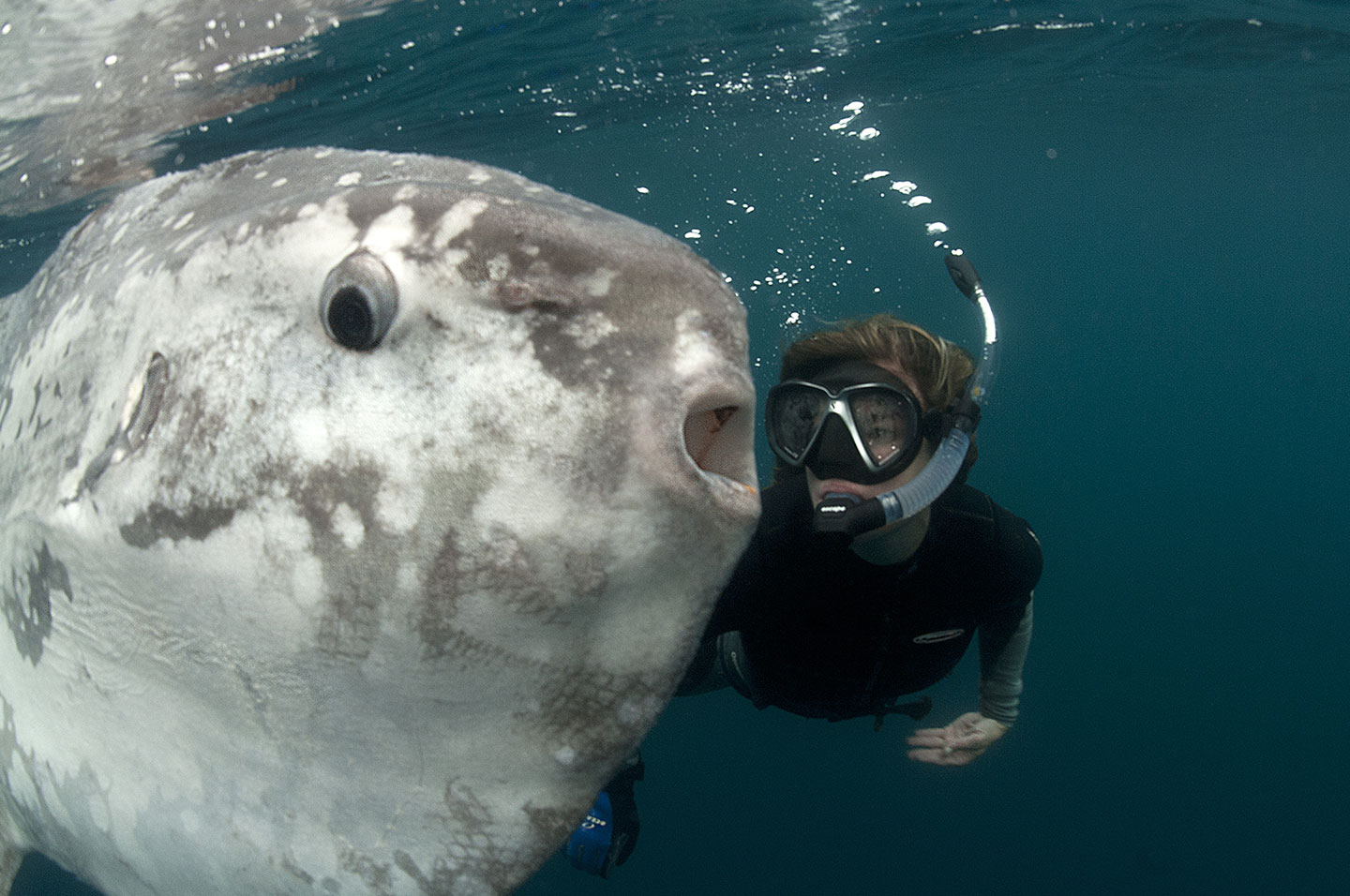 Senza categoria - Sottomarino Zanzibar, image size:1440x956