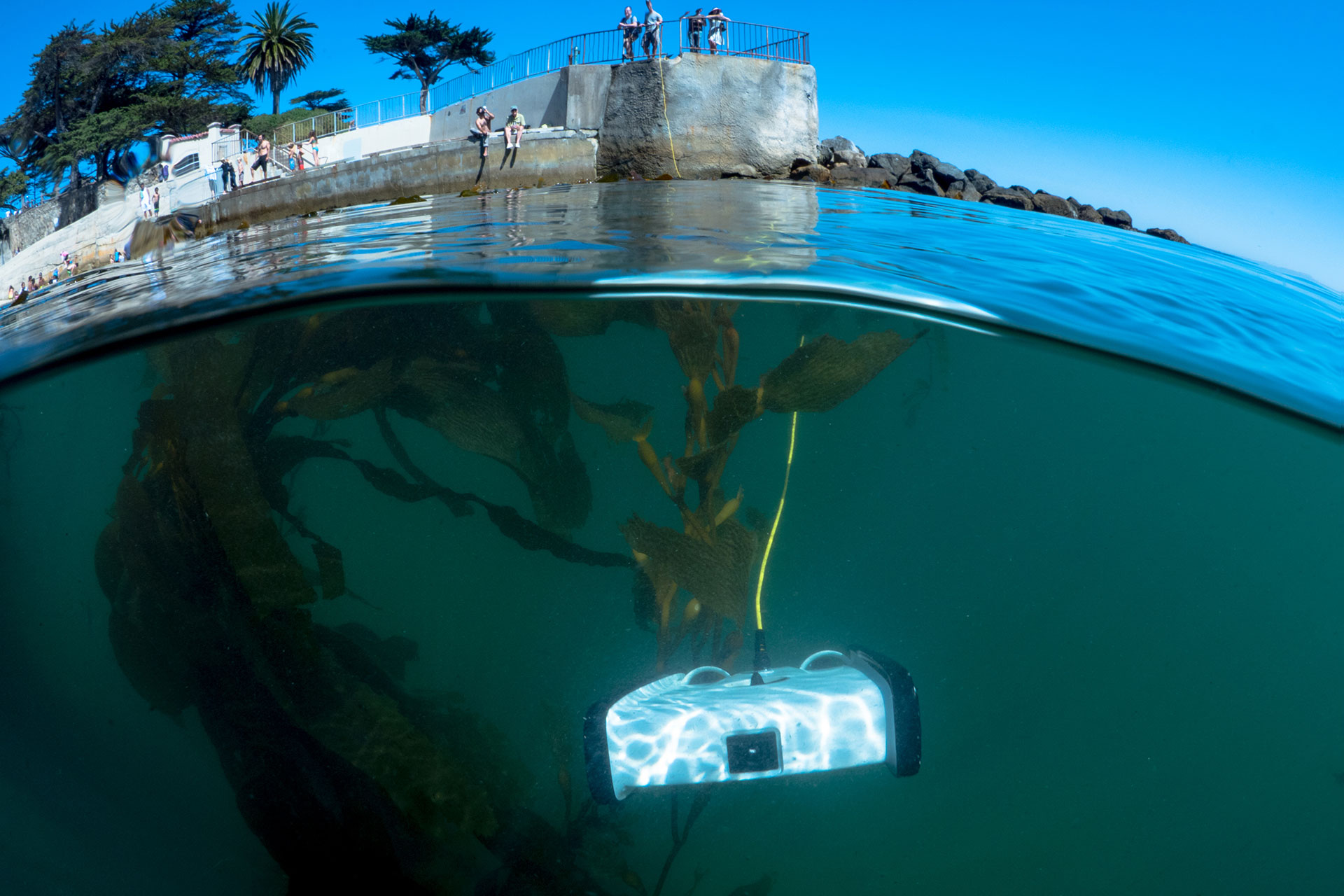 Project M.A.R.E. (@project_mare) • Instagram photos and videos, image size:1920x1280