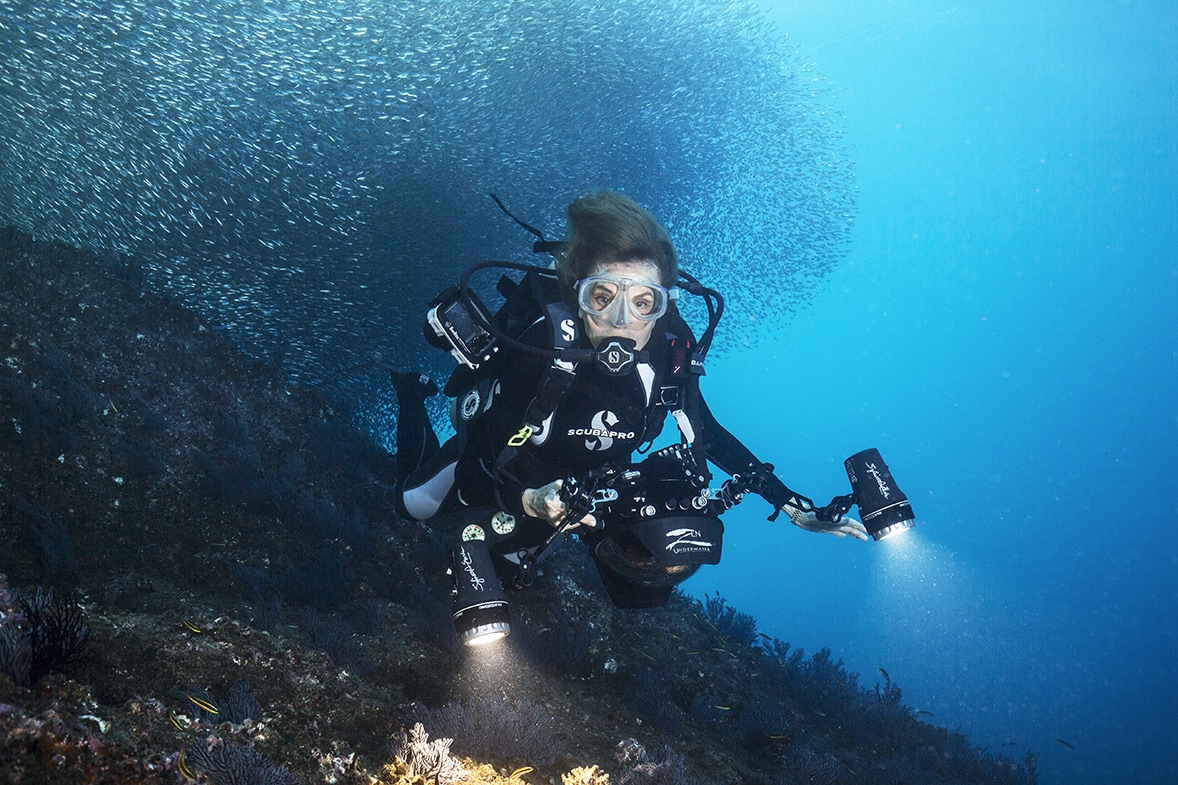 sylvia earle rolex