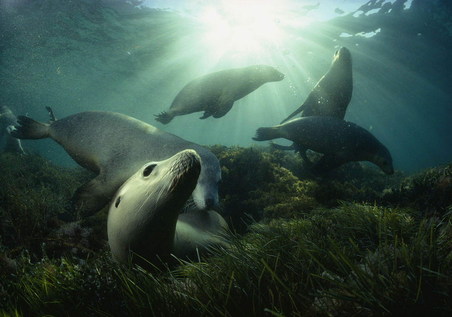 Explore o oceano em 24 horas – Meio ambiente, image size:1543x1080