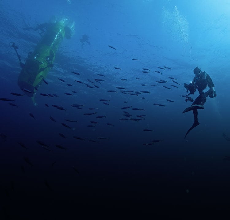 Journey To The Bottom Of The Sea Environment