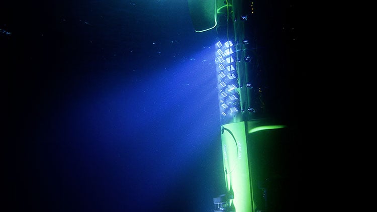 James Cameron desceu até ao ponto mais profundo do oceano, Expedição  <i>Deep Sea Challenge</i>