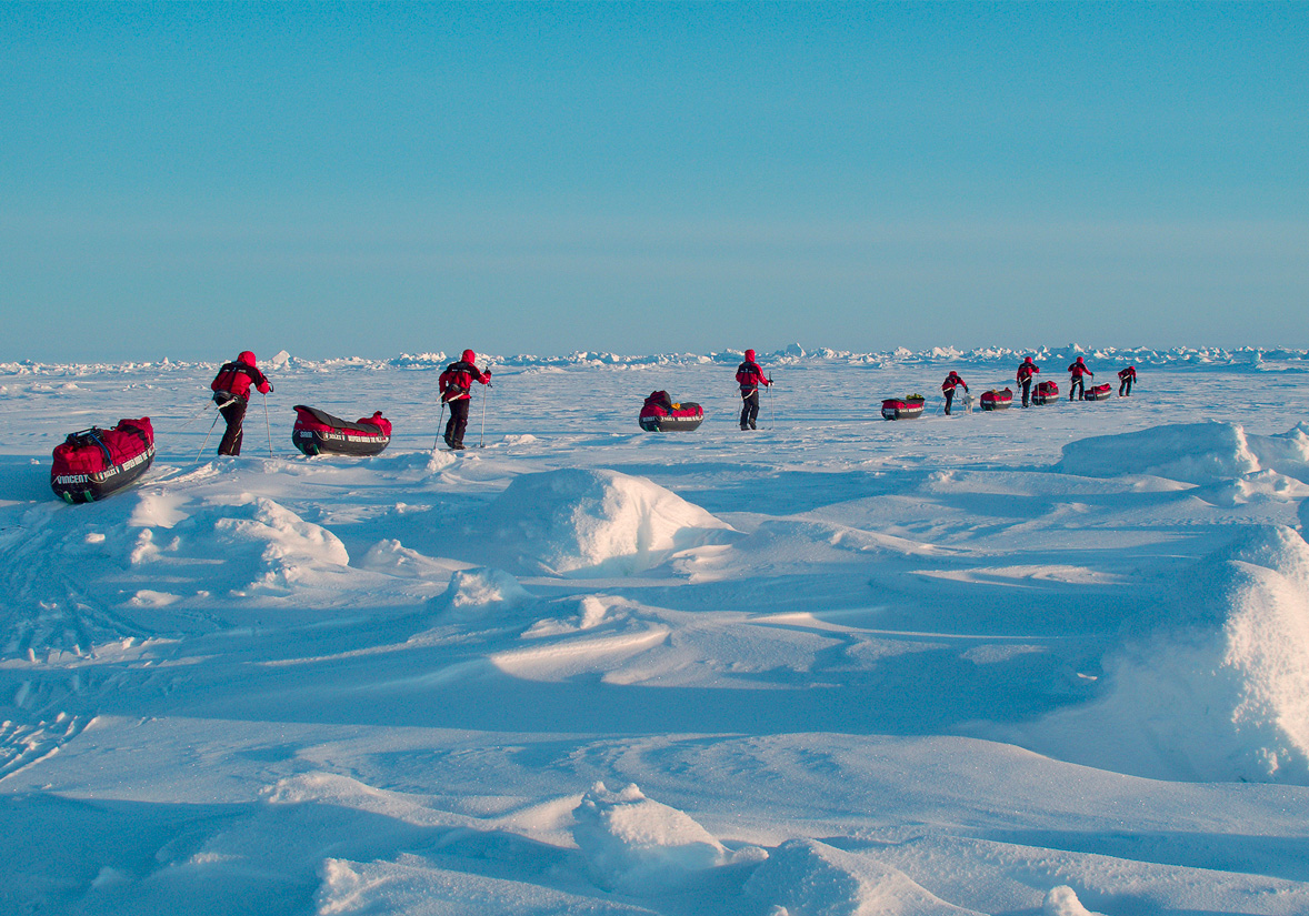溶けゆく氷の下で 環境