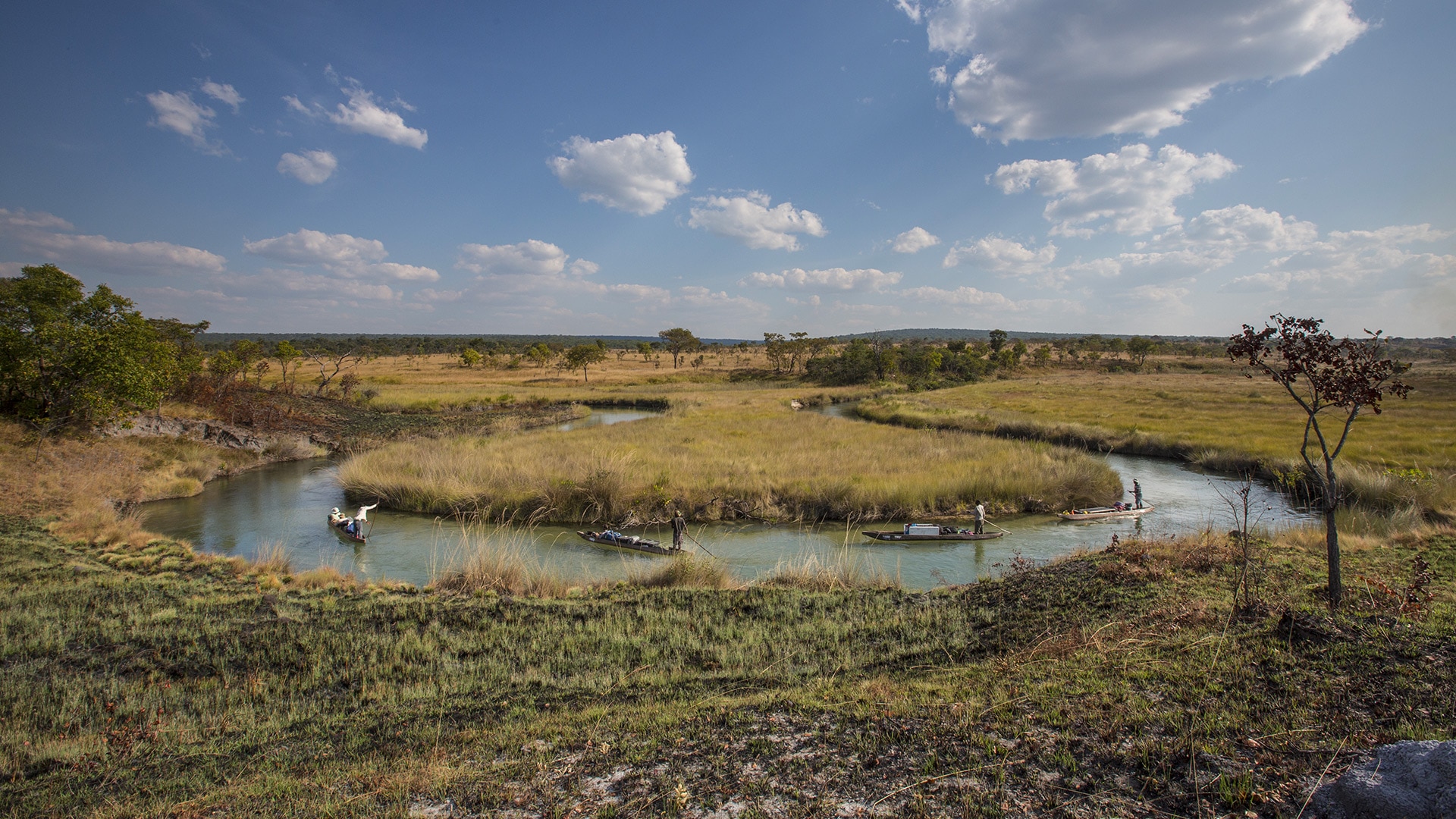 19年ロレックス ナショナル ジオグラフィック エクスプローラー オブ ザ イヤー賞 オカバンゴ原生地保護プロジェクト チーム