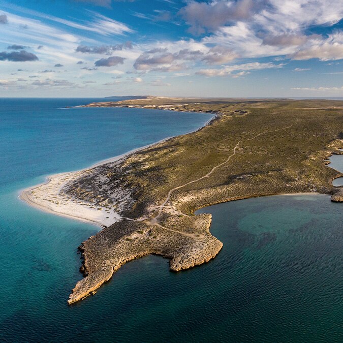 劳力士雄才伟略大奖 - 深海之星