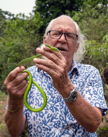 Projects to protect our Planet Rolex