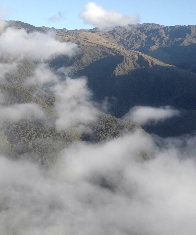 Perpetual Planet Amazon Expedition In the Cloud Forest