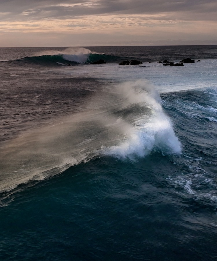 世界1点OHKA野球 2枚 原画 セル画 tree13 人物画 肖像画 韓国 世界